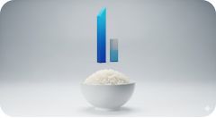 이곳에 관련 이미지 삽입: 쌀값 상승률 18.3%와 전체 물가 상승률을 비교하는 대조 그래프